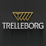 31x10-20 TRELLEBORG DOLGU